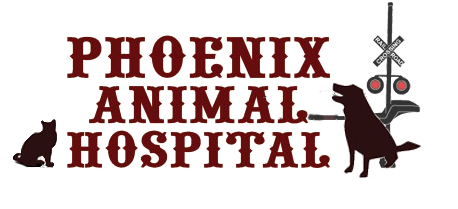 Phoenix Animal Hospital